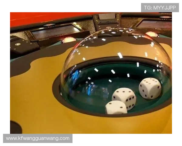 澳门赌场骰宝赔率最新指南帮助玩家优化投注方案提升赢面