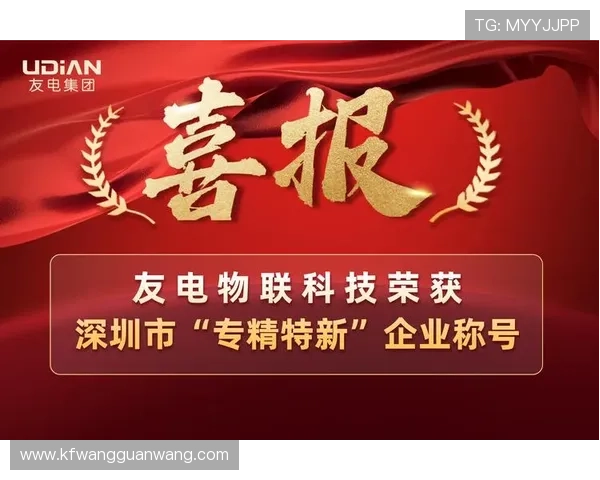 凯发k8旗舰厅平台如何实现公平公正的游戏环境保障 凯发k8旗舰厅平台如何实现公平公正的游戏环境保障